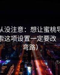 你可能从没注意：想让蜜桃导航更干净？搜索这项设置一定要改（别再走弯路）