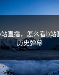 怎么看b站直播，怎么看b站直播间的历史弹幕