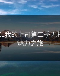 探索“XL我的上司第二季无打码”的魅力之旅