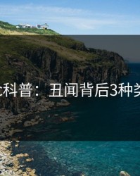 17c科普：丑闻背后3种类型