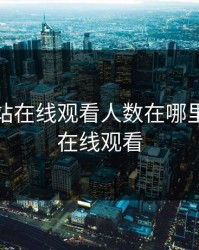免费网站在线观看人数在哪里，百度在线观看