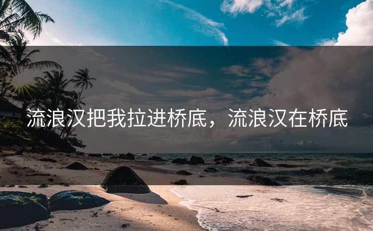 流浪汉把我拉进桥底,流浪汉在桥底 流浪汉把我拉进桥底,流浪汉在桥底