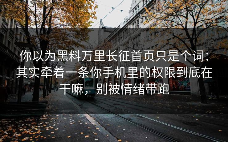 你以为黑料万里长征首页只是个词：其实牵着一条你手机里的权限到底在干嘛，别被情绪带跑