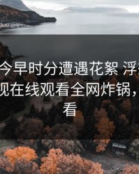 网红在今早时分遭遇花絮 浮想联翩，蘑菇影视在线观看全网炸锅，详情速看