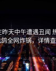 主持人在昨天中午遭遇丑闻 热血沸腾，电鸽全网炸锅，详情查看
